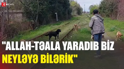 "Allah-Təala yaradıb biz neyləyə bilərik" - RTV