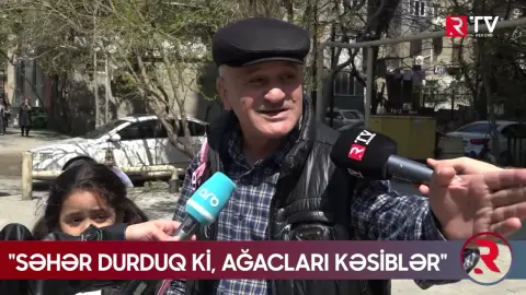 Bakının mərkəzində qırıntı - 12 ağac qanunsuz kəsilib? - "Kökləri sağlamdır" - RTV