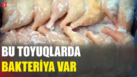 Bu toyuqlarda bakteriya aşkarlandı - RTV