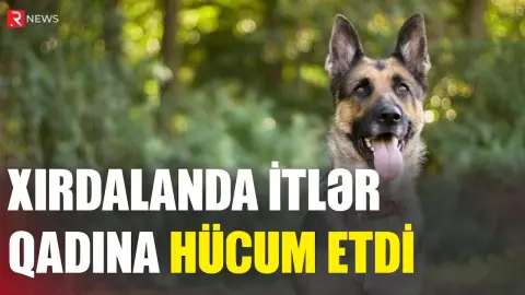 Xırdalanda itlər qadına hücum etdi - VƏZİYYƏTİ AĞIRDI - RTV