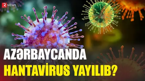 Azərbaycanda hantavirus yayılıb? - Rəsmi - RTV