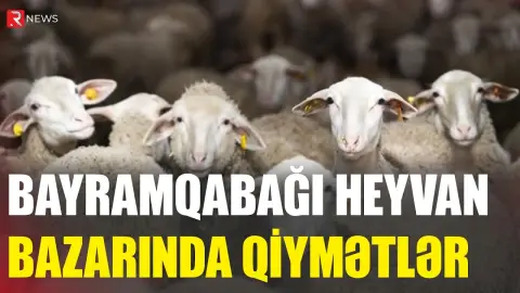 Qurban bayramı yaxınlaşır - Heyvan bazarında qiymətlər necədir? - RTV