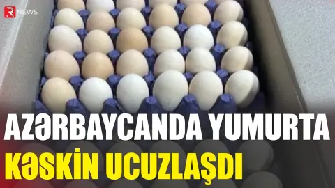 Azərbaycanda yumurta kəskin UCUZLAŞDI - RTV