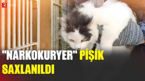 "Narkokuryer" pişik tutuldu - RTV