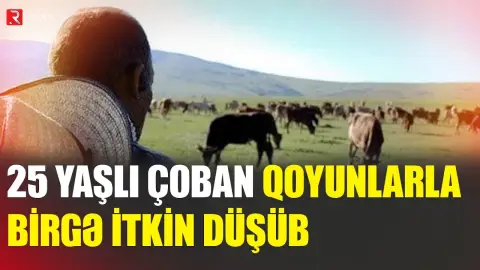Çoban 85 qoyunla birlikdə yoxa çıxdı - RTV