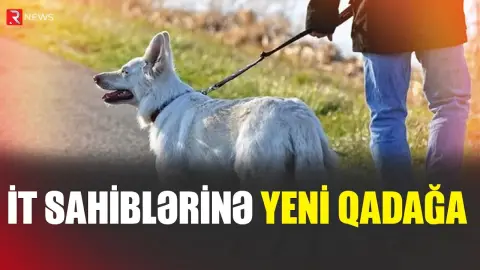 Polşada it sahiblərinə yeni qadağa - RTV