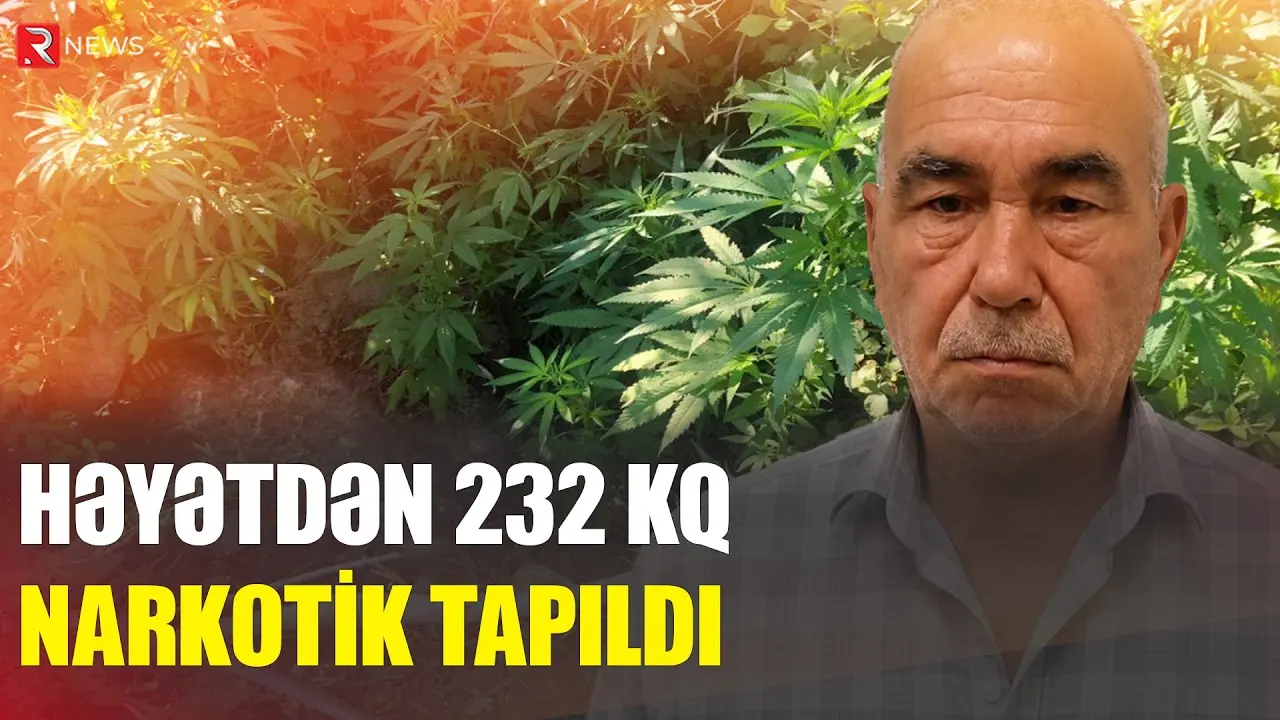 Xəzər rayonunda çətənə kolu yetişdirən şəxs saxlanıldı - RTV