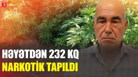 Xəzər rayonunda çətənə kolu yetişdirən şəxs saxlanıldı - RTV