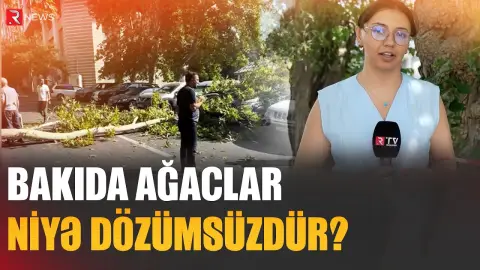 Bakıda küləyin fəsadları - Avtomobillərə dəyən ziyanı kim ödəyəcək? - RTV