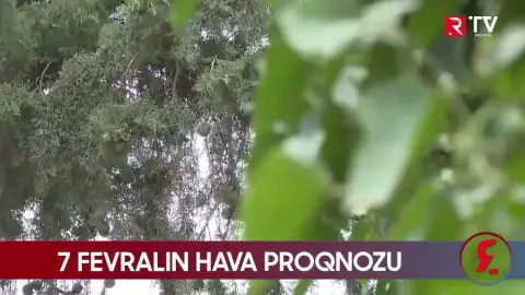 7 fevralın hava proqnozu açıqlandı - RTV