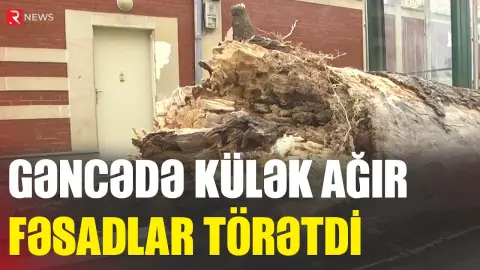Gəncədə külək ağır fəsadlar törətdi - RTV